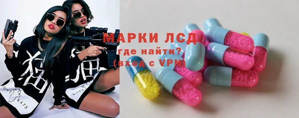 сатива Елизово