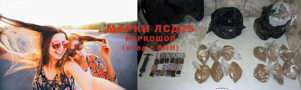 apvp Заводоуковск