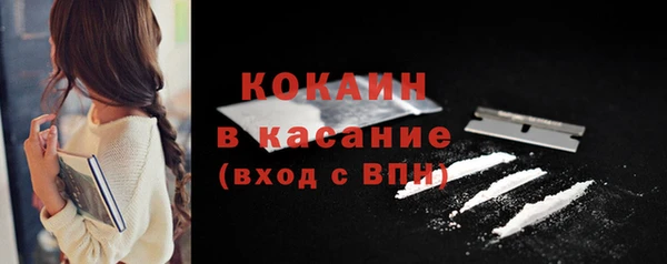 гашик Ельня
