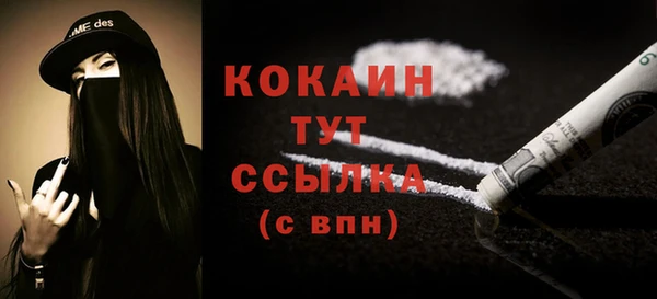 прущие грибы Елабуга