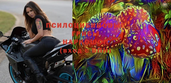 apvp Заводоуковск