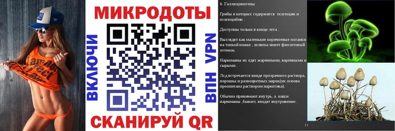Купить где  Кологрив  Псилоцибиновые грибы Psilocybine cubensis 