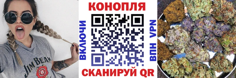 Купить закладки  Кологрив  Шишки марихуана THC 21% 